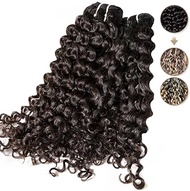 Clytie One Donor Raw Indian Curly Hair Cuticle Aligned Unprocessed Remy Virgin Inidan Human Hair Dou