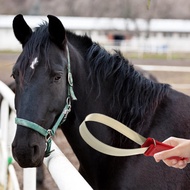 Shedding Blade Horse แปรง Scraper โลหะเดี่ยว Shedding Blade Scraper เครื่องมือสำหรับม้าเจ้าของ JS-03