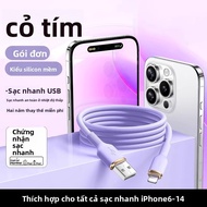 Cáp sạc nhanh PD 45W iPhone 14 Lightning Type-C 2m USB-C
