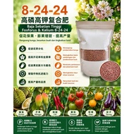 Baja 8-24-24 (500gm) 《Baja Paksa Buah Bunga 促进植物开花结果》