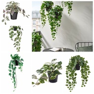 IKEA FEJKA Artificial Hanging Plant Pokok Jurai Hiasan