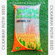 Benih Padi Inpari 48 5kg Bersertifikat Label Ungu Kawah Putih Seed Ind