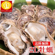 広島県or岡山県産 大粒2Lサイズ牡蠣むき身 約1kg 1000g 正味NET850g 加熱用 剥き身 剥身 かき かき鍋 カキ カキフライ 鍋