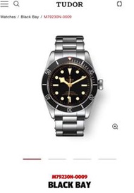 TUDOR Black Bay M79230N-0009 手錶