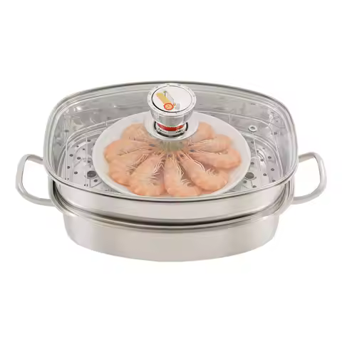 2-layer 6L Stainless Steel Steamer Pot, 47*26*15cm Multi-Use Steaming Cookware, Steam Cooker With Cl