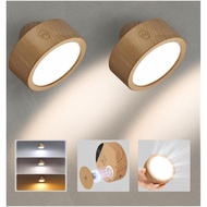 EZVALO LED Wall Mounted Lights, 5500mAh Rechargeable Wall Sconces Lamp, 3 Color Temps & Remote and T