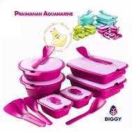 Ary Prasmanan Aquamarine Biggy Set