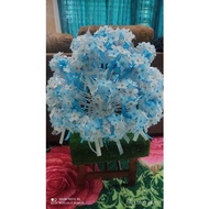 bunga telur stokin/nylon