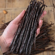 Bann Mogas Vanilla Pod13-19cm Single Root Tahidi Vanilla Bean Bahamas Island Vanilla Sticks for Baki