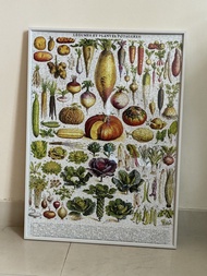 New york puzzle company Vegetables ~ Légumes 1000 Piece Jigsaw Puzzle with frame 蔬菜拼圖和框