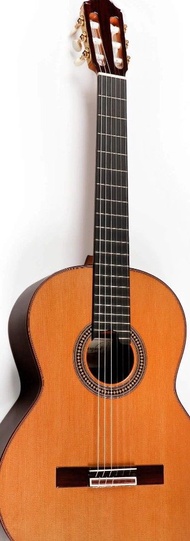 Yamaha吉他 送埋調音器