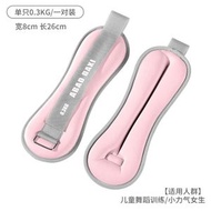 【0.3kg*2】沙包 小沙袋 鐵砂負重沙袋 手腳負重沙袋 運動跑步訓練 健身器材 舞蹈訓練 男女通用