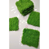 Green moss grass carpet for decoration, deco, sample photography