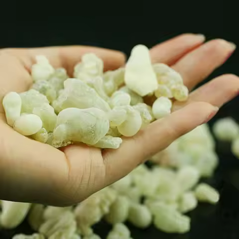 Oman Hojari Frankincense Green Frankincense Burning Well Resin Fragrance FrankinsenseB.sacra Hydroso