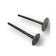 YAMAHA NVX NMAX Y16 N MAX VALVE SET VALVE INNER EXHAUST