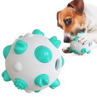 Pet Supplies New Products Dog Toothbrush Spherical Dog Toy Molar Bite-Resistant Dog Toy