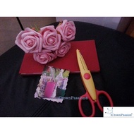 DIY Art and Craft Scissors