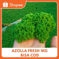 Azolla Fresh 1kg for Animal Feed – Quality