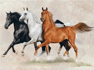 กระเบื้องผนังภาพชุด ROMANO HORSE SET(B) 90X120*A (30X60CM/6 แผ่น/ชุด)