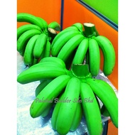 Pisang Berangan / Banana [ Mempunyai Pensijilan myGap ]