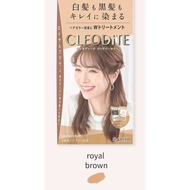 Emulsion ปิดผมขาวสีแฟชั่น CLEODITE จาก Dariya พร้อมส่วนผสมบำรุง ไม่ทำให้ผมเสีย ยาย้อมผมจากญี่ปุ่น ย้