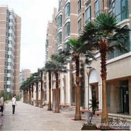 Artificial Artificial Palm Tree Artificial Palm Tree Palm Tree Dongguan Wholesale Factory Direct Sal