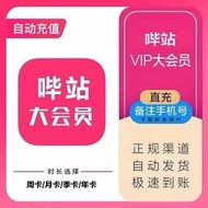 哔哩哔哩大会员 Bilibili Premium B站大会员 直充 | Official Activation Code | CD Key
