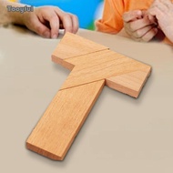 Tooyful Wooden Puzzle Games, Brain Teaser Puzzle for Brain Development, Birthday Gift