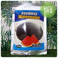 Paket 200g 6021 SEEDLESS WATERMELON Biji Benih Tembikai Boci Madu Merah Tanpa Biji F1 Hybrid Seedles