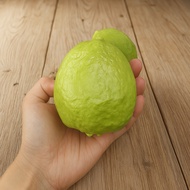 REPLIKA 1pcs guava replica Fake Guava/ Children's Toy/ Children's Educational/ Table Decoration/ Jui