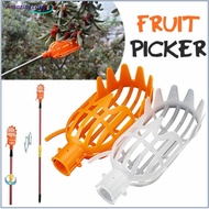 AMAZ Portable Fruit Picker Head Multicolor Fruit Gardening Tools Picking Supplies For Home Park Farm Garden