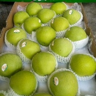 Apel Hijau Granny Smith Green Apple Fresh Import Per Dus Original Best