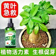 LP-8 JD🥦CM Vitality Lotion Flower Fertilizer Hua Su Plant Orchid Phalaenopsis Clivia Nutrient Solution Bougainvillea Spe