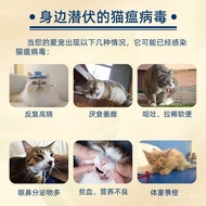 T Test Paper Cat Plague Pet Inspection Test Card Kitten Cat Plague Virus Test Paper Boxed Cat Plague