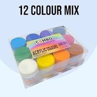 Acrylic Paint 20ml / Acrylic Color Painting / Acrylic Painting Paint / Acrylic Paint Color -12 Color