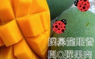 【屏東枋山 自然熟成黑香芒果5斤裝(6~7粒、大果)】有花香與蜜香的烏香芒果