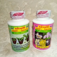 ALPHA OMEGA VITAMIN SIAM BAJA ORKID THAILAND (BUNGA/SUBUR) 250ml