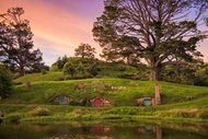 Hobbiton & Rotorua Day Tour