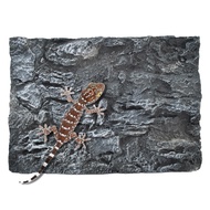 Reptile Tank Background Board Rock Terrarium Cork Background Board 3D Wall Backdrop Aquarium DéCor B