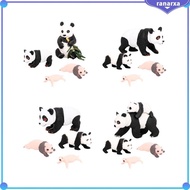 [Ranarxa] 4Pcs Panda Animal Life Cycle Model,Panda Growth Cycle Figures,Educational Toys,Party Classroom Accessories Kid,Girls