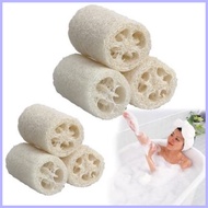 ﹊ ۩ 25th️ Patola Loofa Loofah Scrub bath shower sponge Exfoliating