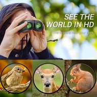 Binoculars Compact Zoom 10X25 Binoculars - Apl-Pb10X25