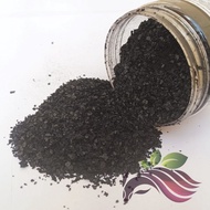 Soil Activator Promote Rooting Soil Remediation Promote Fruiting 土壤活化剂 100g by LS Group