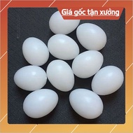 Plastic FAKE DOVE EGGS SET OF 10 EGGS