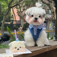 Chucky Dog Costume Denim Clothes for Dog Shih Tzu Cute Striped Lapel Vest Yorkshire Pet Clothes Summ