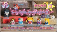 [訂貨] Megahouse MEGA CAT 美少女戰士  套裝