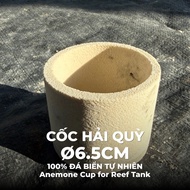 Anemone Cup Ø6.5cm Natural Sea Stone – Anemone Cup Supports Reef Penishment