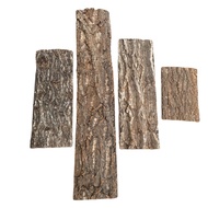 [Ready Stock] Cork Bark