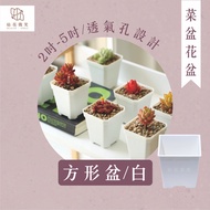 [Nianhua Smile] Square Pot|White|3 Inch-5 Inch|Flower Pot|Succulent Plant Pot|Cactus Basin|Root Basi