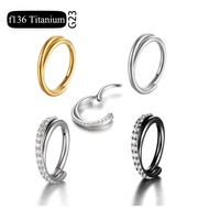 Piercing Nose Ring G23 Titanium Piercings Daith Earring 16G Hoop Septum CZ Clicker Hinged Segment Ea